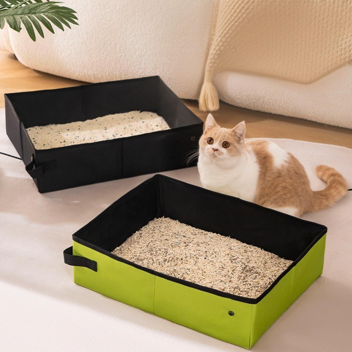 Eine Katze sitzt in der Nähe von zwei Katzentoiletten. Eine ist schwarz, die andere grün. Beide sind mit Streu gefüllt. Eine cremefarbene Katze schaut nach oben.