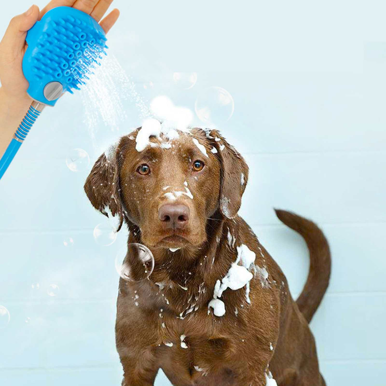 Ein brauner Hund wird mit einem blauen Duschkopf gewaschen. Seifenblasen sind um den Hund herum.