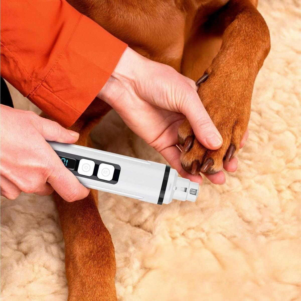 Eine Person schneidet dem Hund die Krallen mit einem weißen Nagelknipser. Die Pfote des Hundes wird sanft gehalten. Der Hintergrund zeigt Fell.