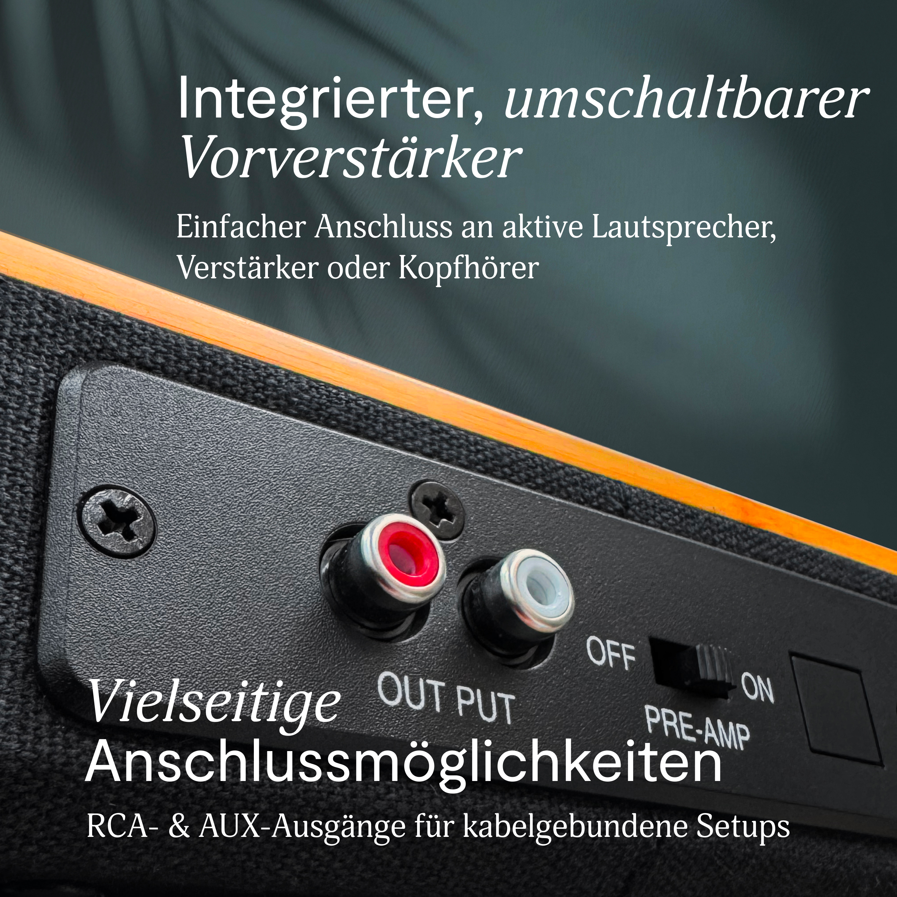 Nahaufnahme von Audioeingängen. Rote und weiße Cinch-Anschlüsse, Ein-/Ausschalter und Textlabels sind sichtbar.