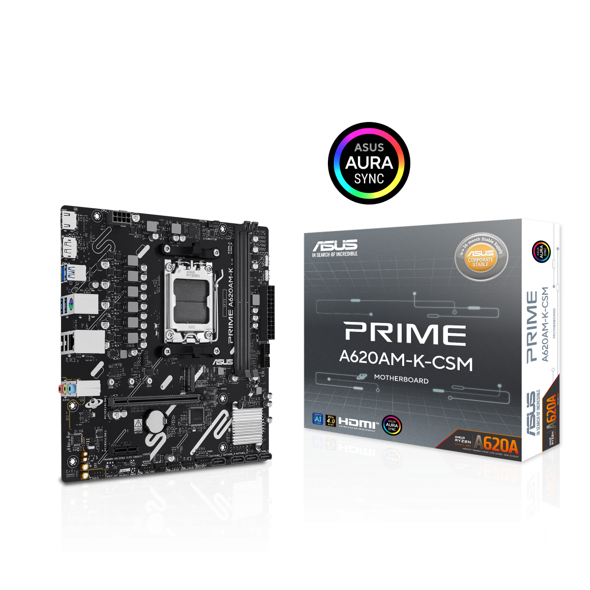 Una scheda madre ASUS PRIME A620AM-K-CSM e la sua scatola sono su una superficie bianca. La scatola ha il logo ASUS e i dettagli del prodotto.