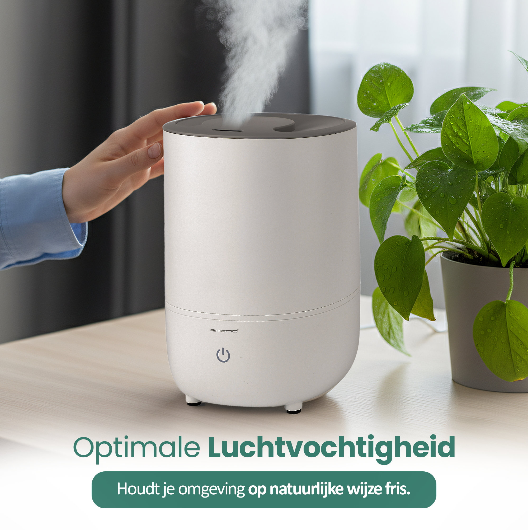A white humidifier with steam, hand reaching for it. A green plant in a pot is on the right. Text: Optimal Humidity.