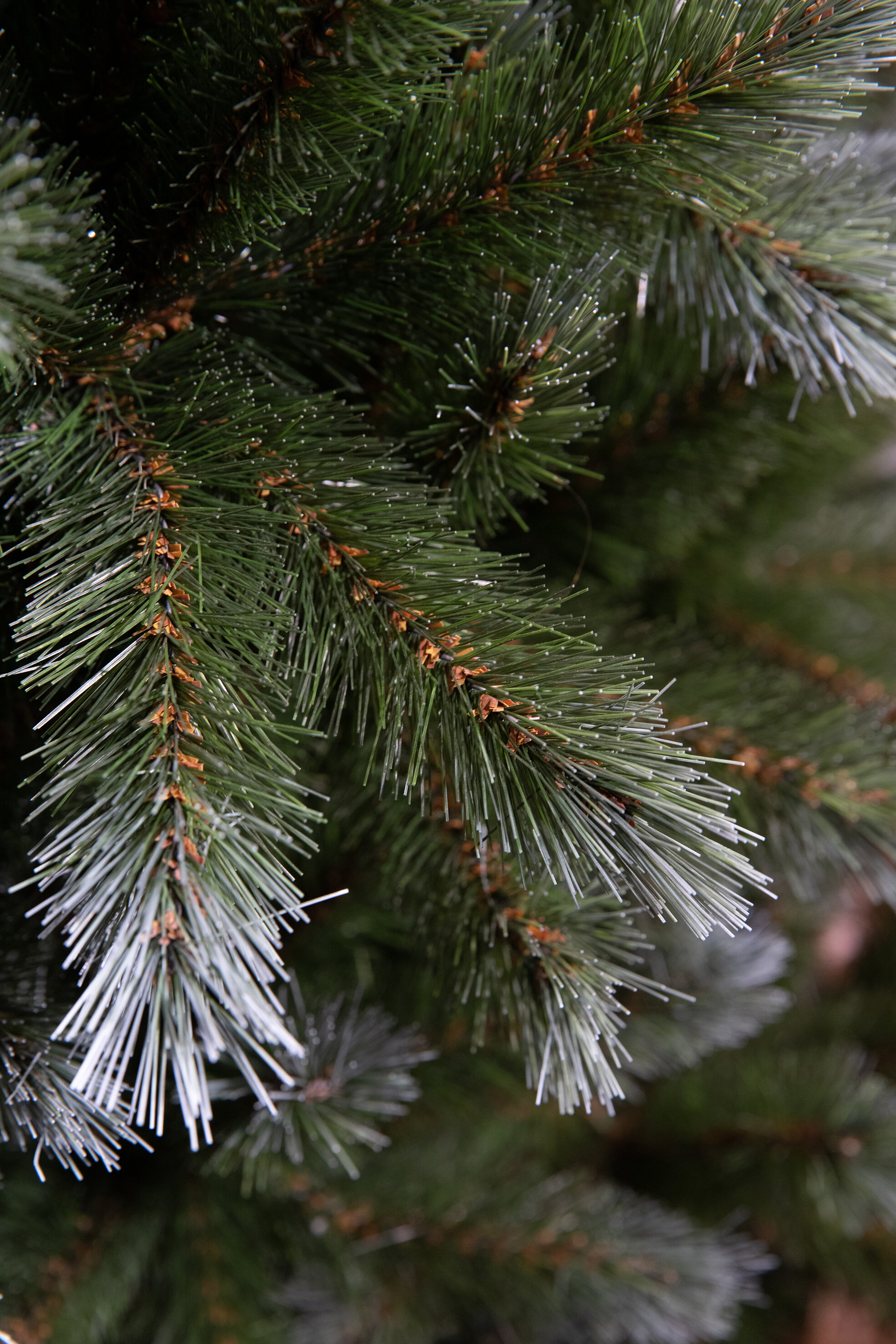 Close-up van een groene kunstkerstboomtak. Naalden zijn groen, met witte uiteinden. Bruine takjes zichtbaar.