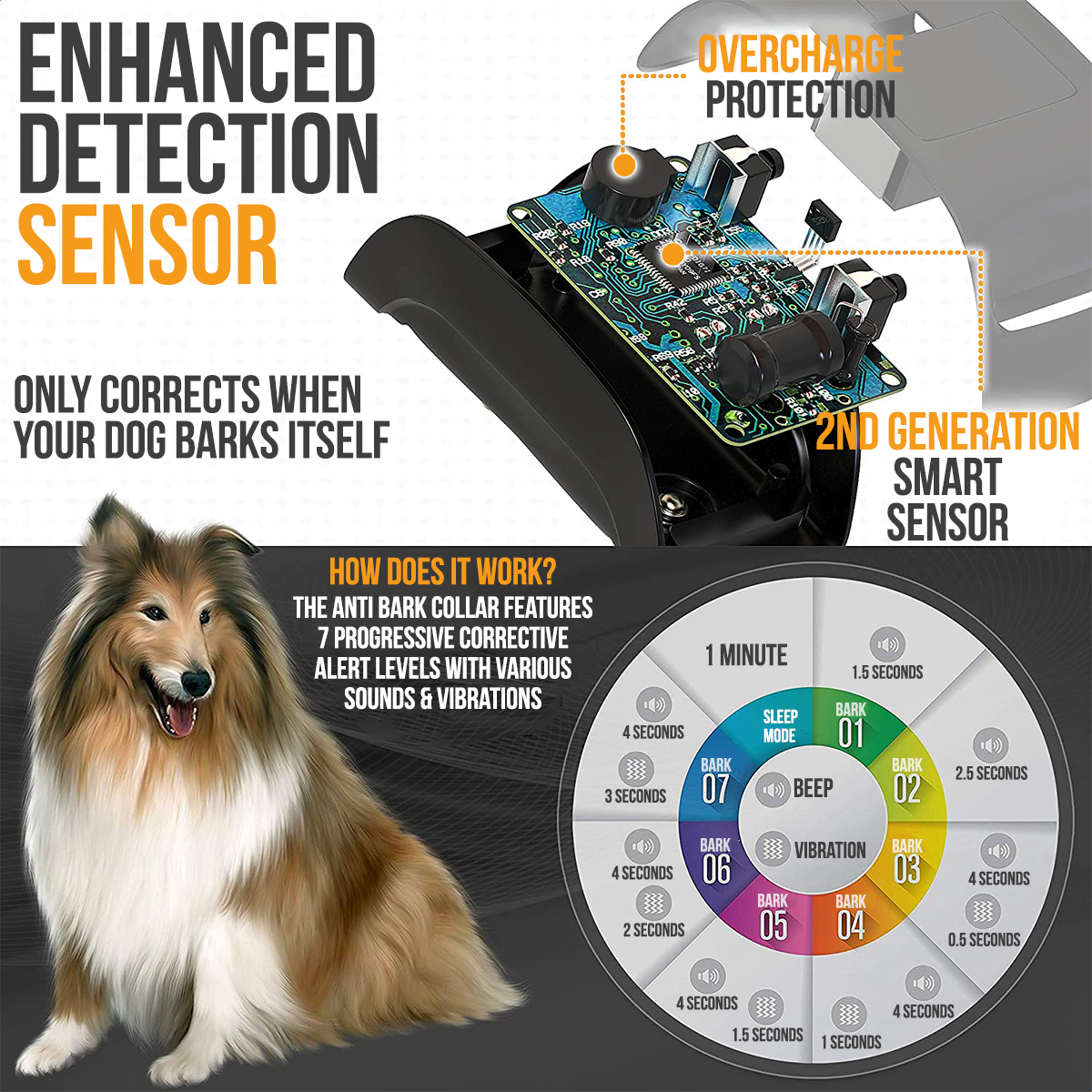 Image shows a dog with an anti-bark collar, diagrams of the collar's functions, and text describing its features.