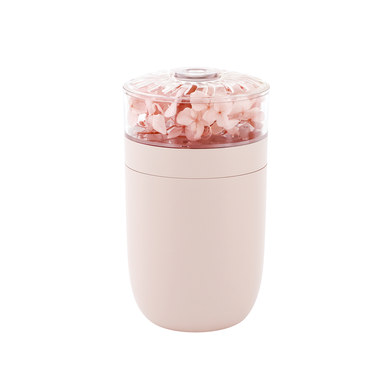 Ein hellrosa Behälter mit transparentem Deckel, gefüllt mit rosa Trockenblumen. Der Behälter hat eine zylindrische Form auf weißem Hintergrund.