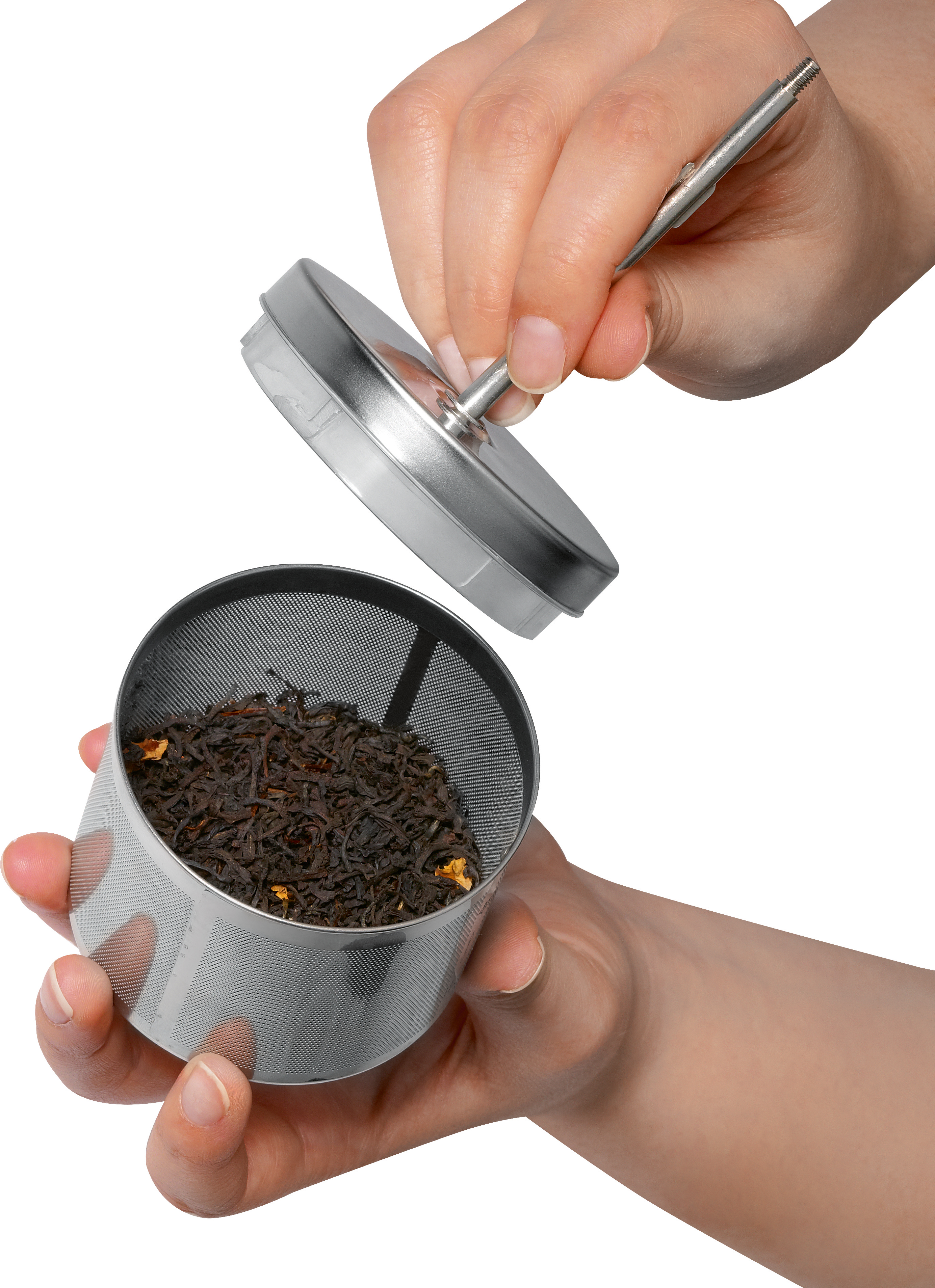 Dłonie trzymające zaparzacz do herbaty z liśćmi herbaty, otwierające pokrywkę. Białe tło.