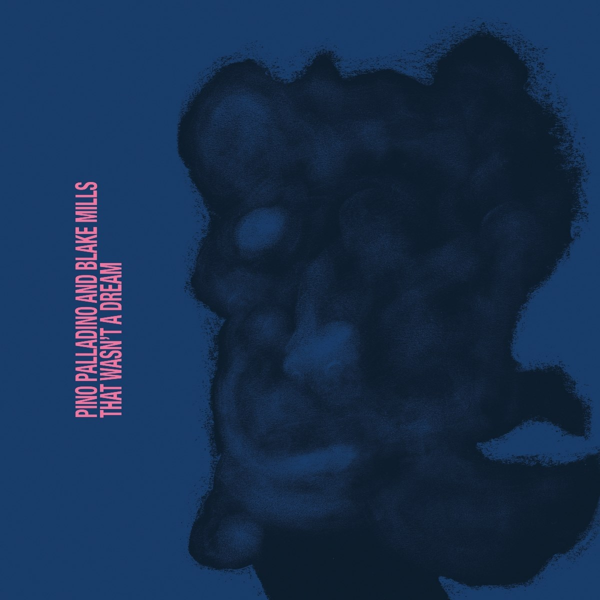 Arte astratta blu scuro con forma di volto. Testo rosa: 'Pino Palladino and Blake Mills that wasn't a dream'.