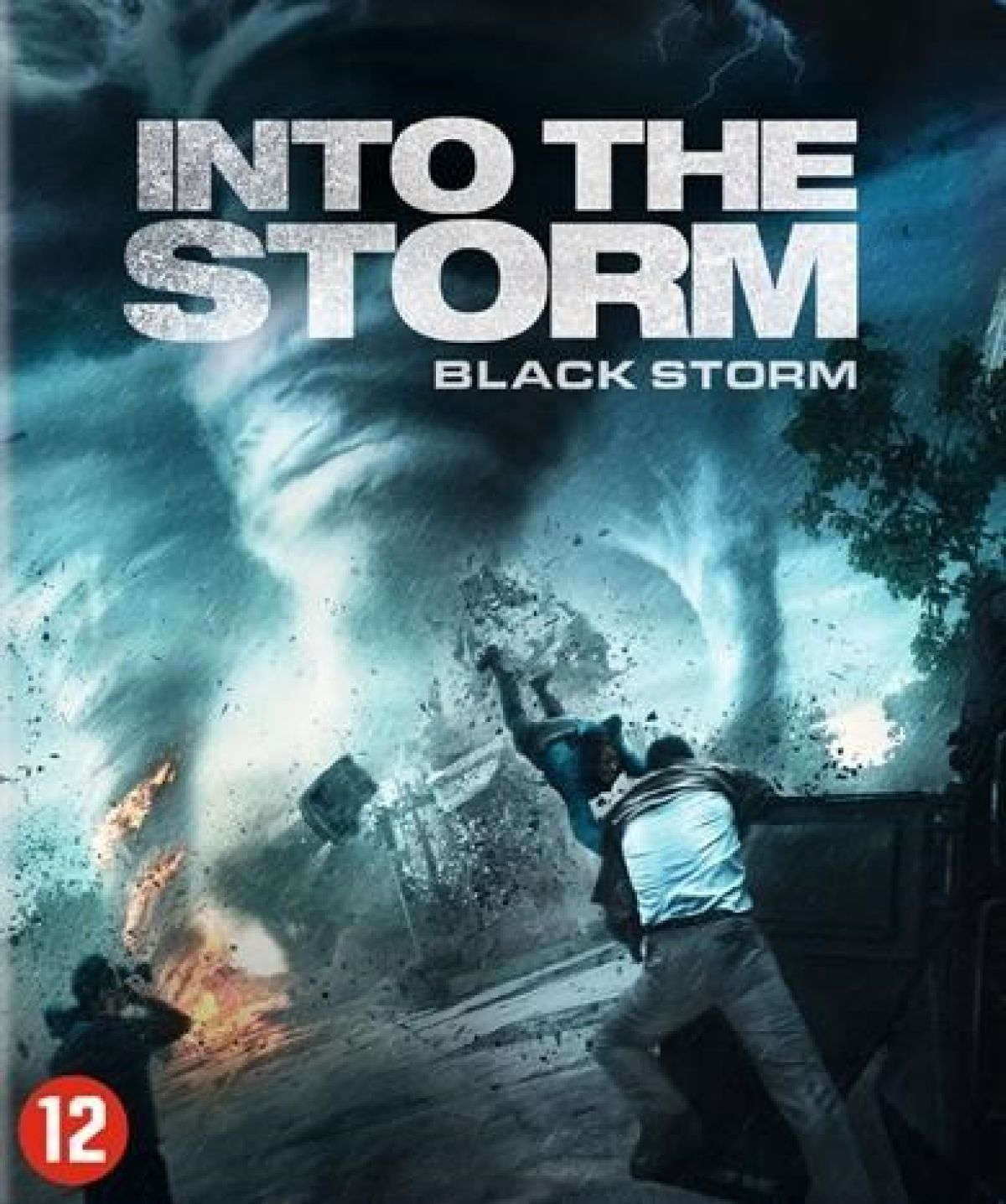 Filmposter voor Into The Storm. Mensen rennen weg voor een tornado. Titel staat bovenaan. Beoordeling 12 staat linksonder.