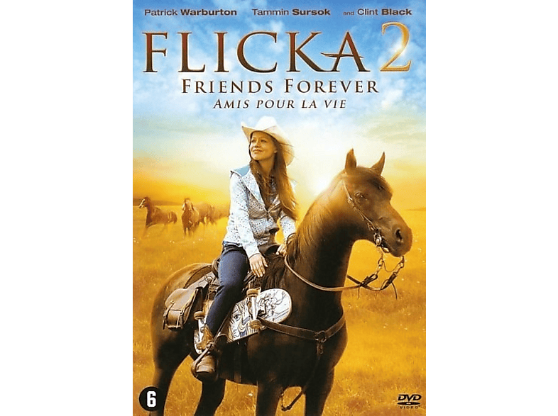 Flicka 2 | MediaMarkt