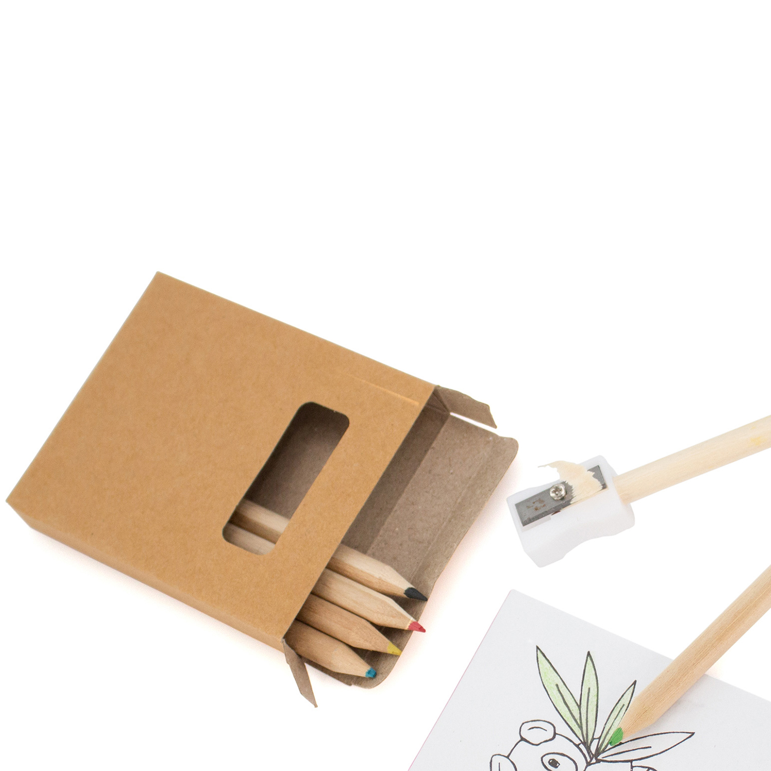 Una caja de lápices, un sacapuntas y un dibujo de una planta sobre fondo blanco.