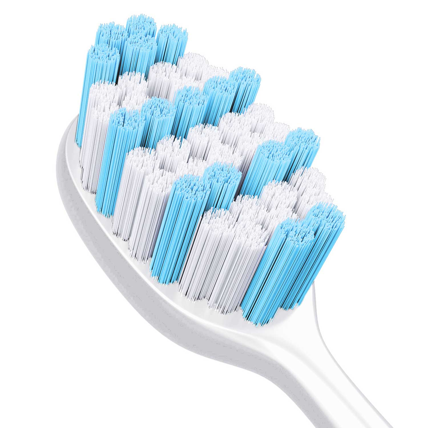 Zbliżenie główki szczoteczki do zębów. Ma niebieskie i białe włosie. Rękojeść jest biała, a tło białe.