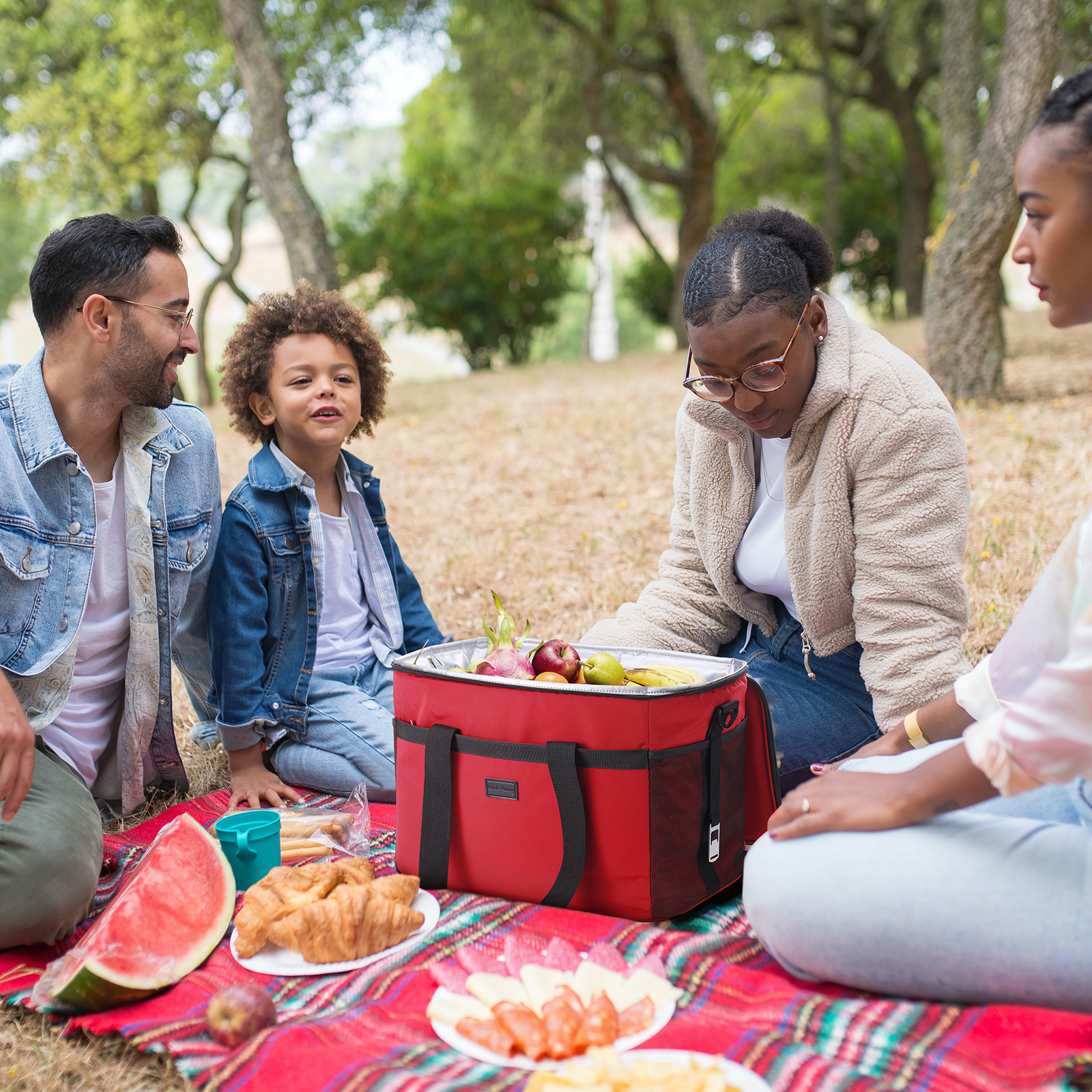 Een familiepicknick in een park met eten en een rode koelbox op een rood kleed. Mensen zitten op het kleed.