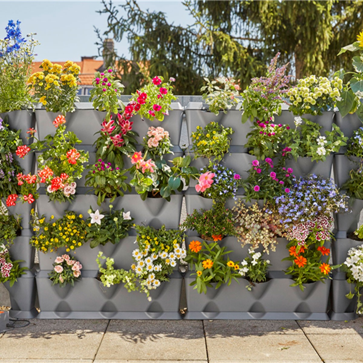 Una fioriera a muro grigia piena di vari fiori colorati. Fiori rossi, gialli, rosa e viola creano un display vibrante.