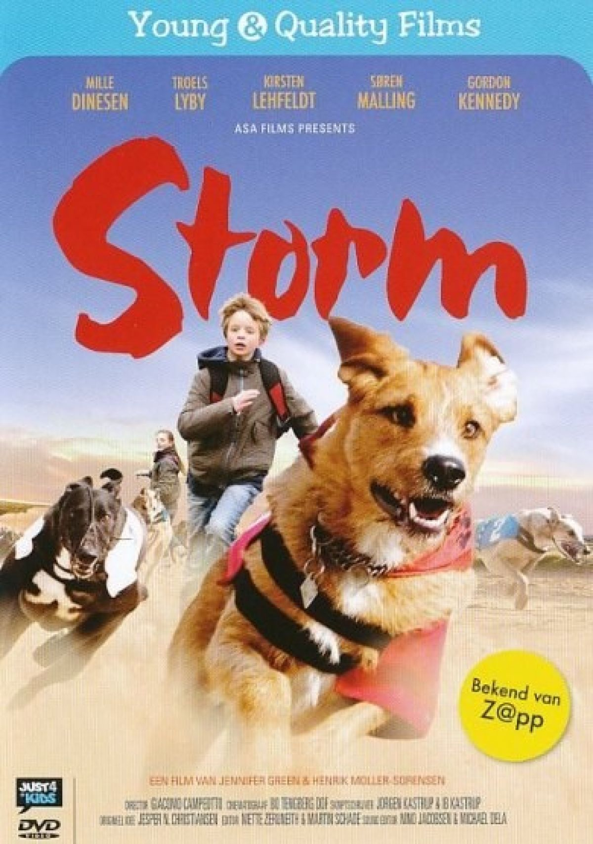 Filmposter: Jongen en hond rennen, titel 'Storm'. Andere honden op de achtergrond. Kleurrijk, filmtitel en credits worden getoond.