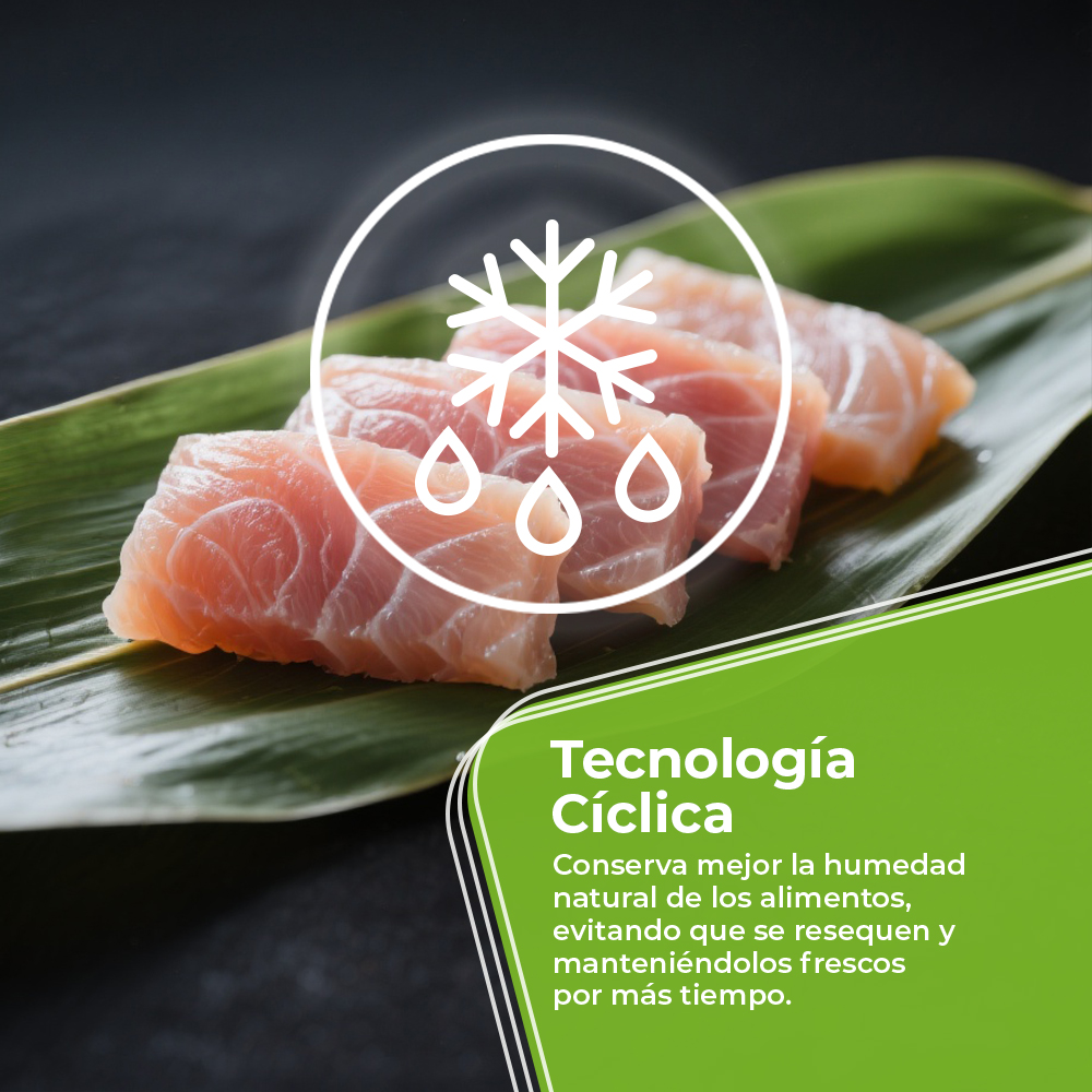 Rodajas de salmón sobre una hoja, con un icono de copo de nieve. Texto en español describe la tecnología cíclica para conservar la humedad.