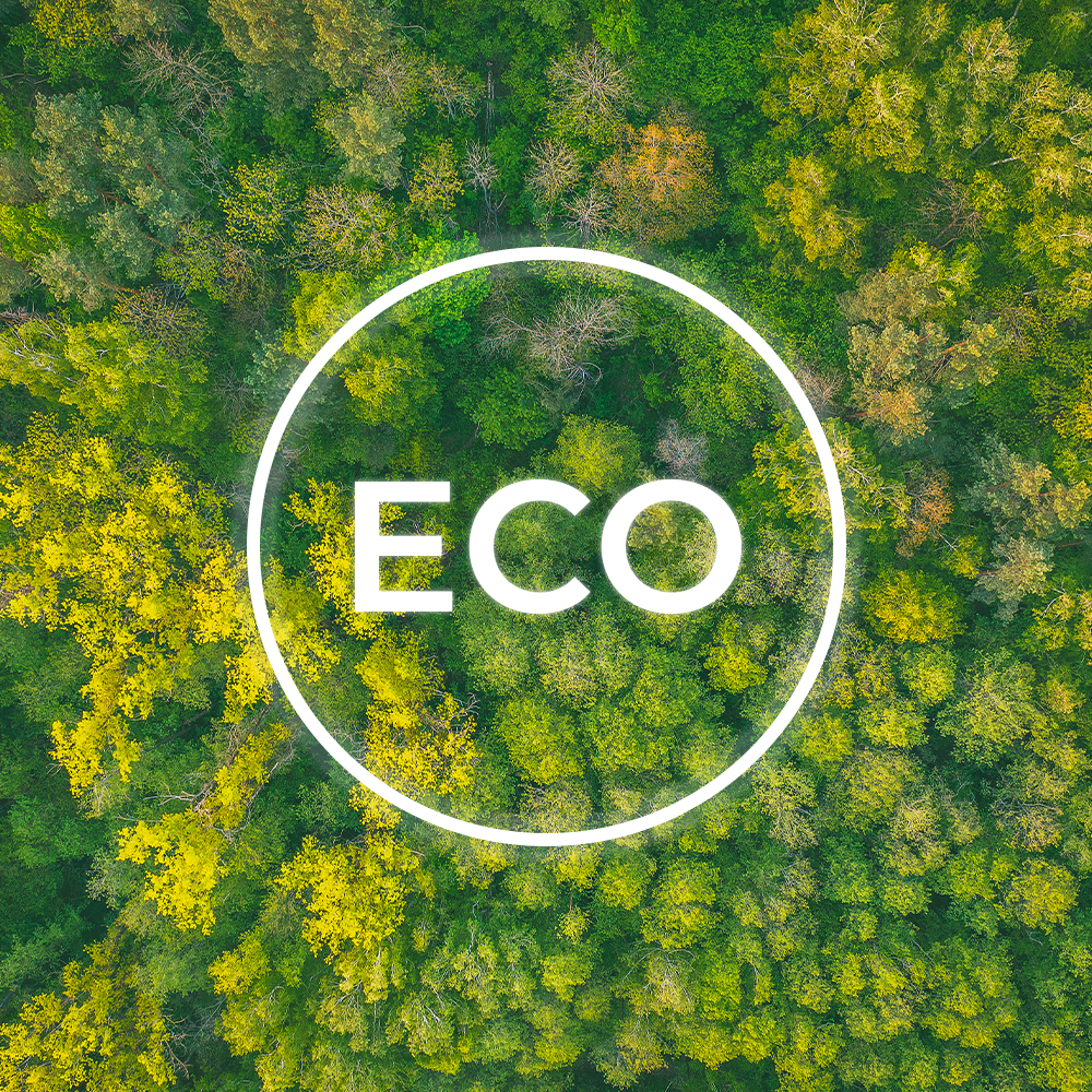 Widok z lotu ptaka na zielony las z białym okręgiem i napisem 'ECO'. Drzewa tworzą gęste, teksturowane tło.
