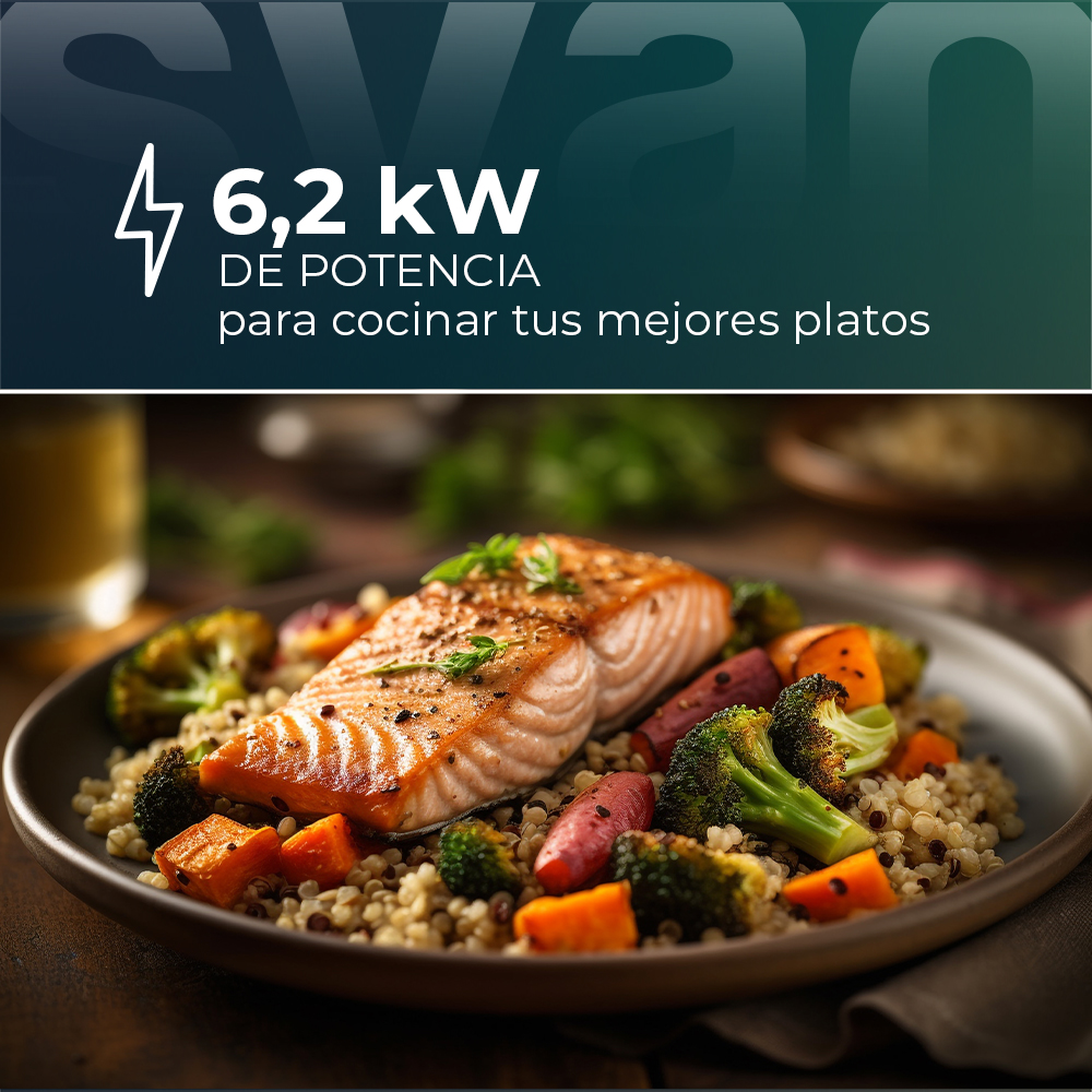 Un plato de salmón con verduras, incluyendo brócoli y zanahorias. Arriba: 6.2 kW de potencia para cocinar tus mejores platos.