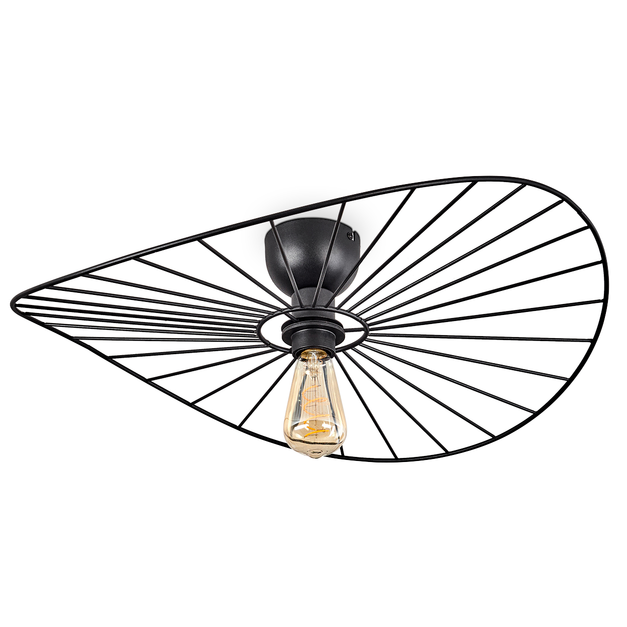 Eine schwarze Deckenleuchte aus Metall mit tropfenförmigem Schirm und einer einzelnen Edison-Glühbirne auf weißem Hintergrund.