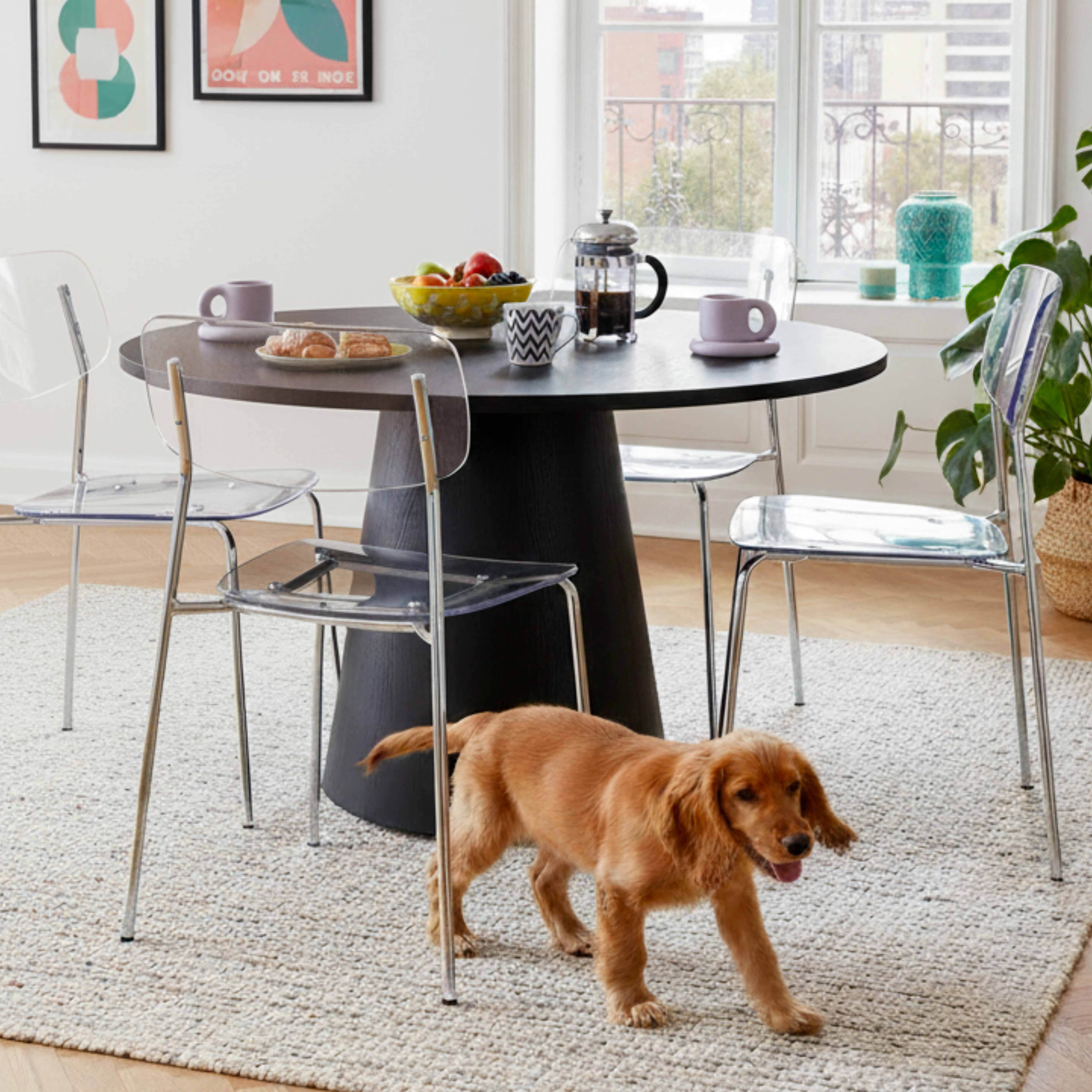 Ein Golden Retriever geht auf einem Teppich in der Nähe eines runden Tisches mit Obst, Tassen und Stühlen.