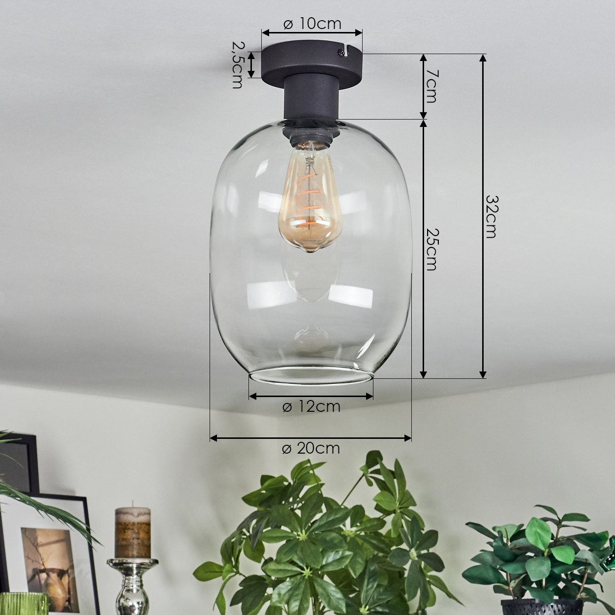 Eine transparente Deckenlampe mit schwarzem Sockel. Die Glühbirne ist sichtbar. Maße sind angegeben. Pflanzen und Rahmen im Hintergrund.