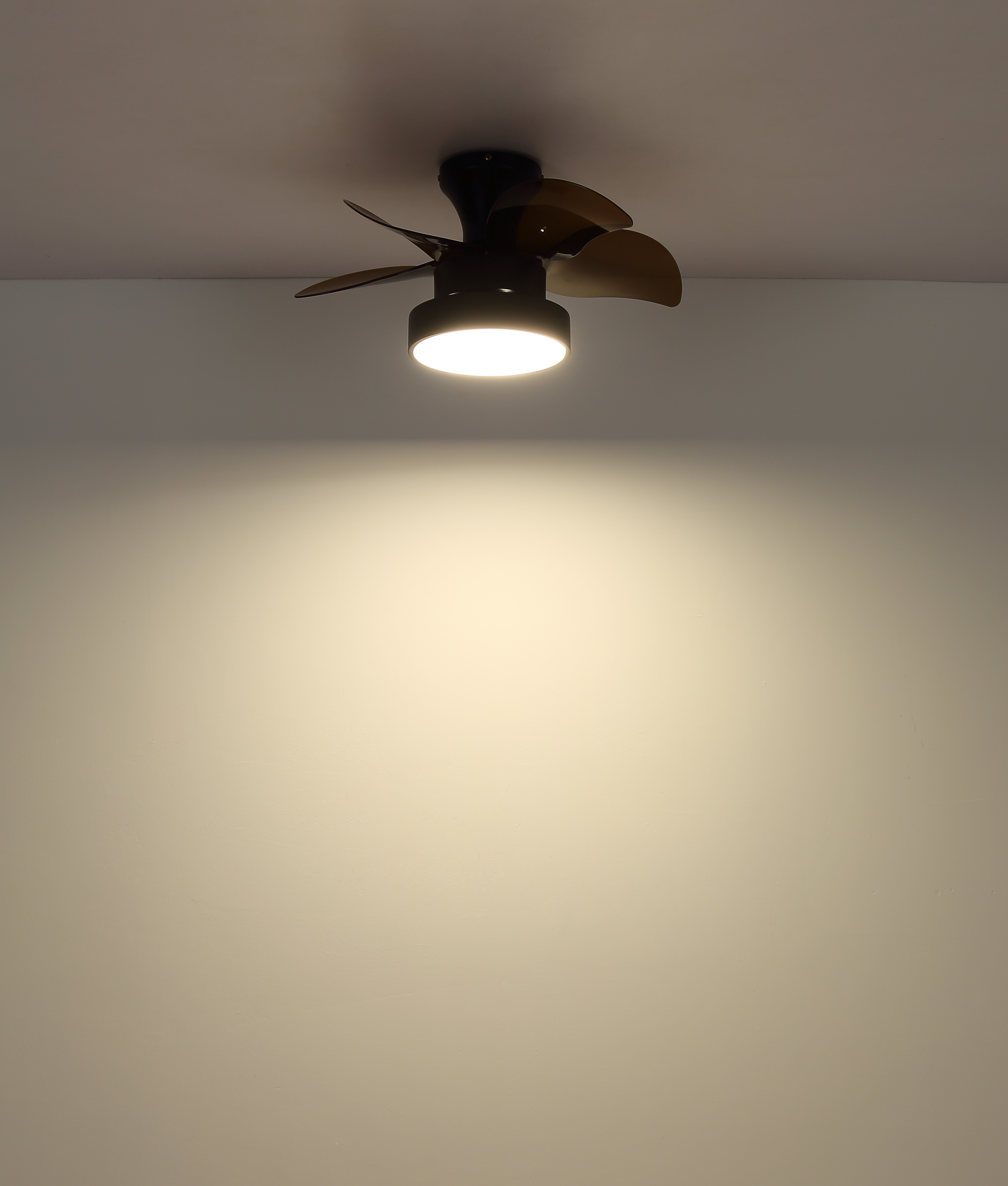 Ein Deckenventilator mit fünf Flügeln ist an einer weißen Decke montiert. Der Ventilator hat ein Licht.