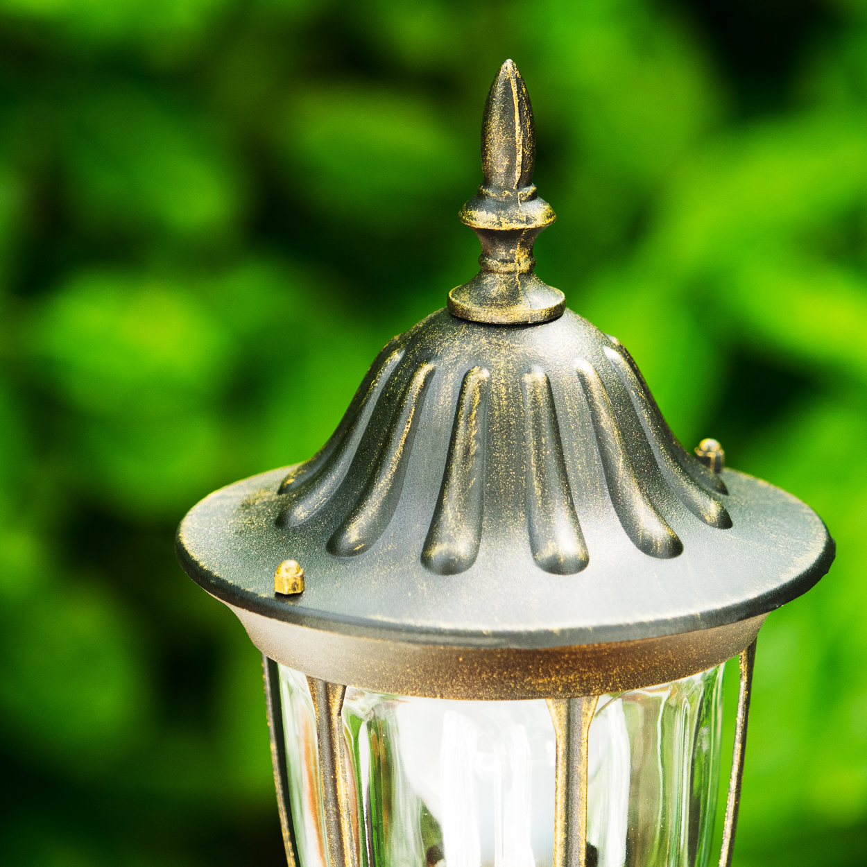 Nahaufnahme einer dekorativen Außenlampe mit dunkler Metalloberfläche und einem transparenten Glasteil. Grünes Laub im Hintergrund.