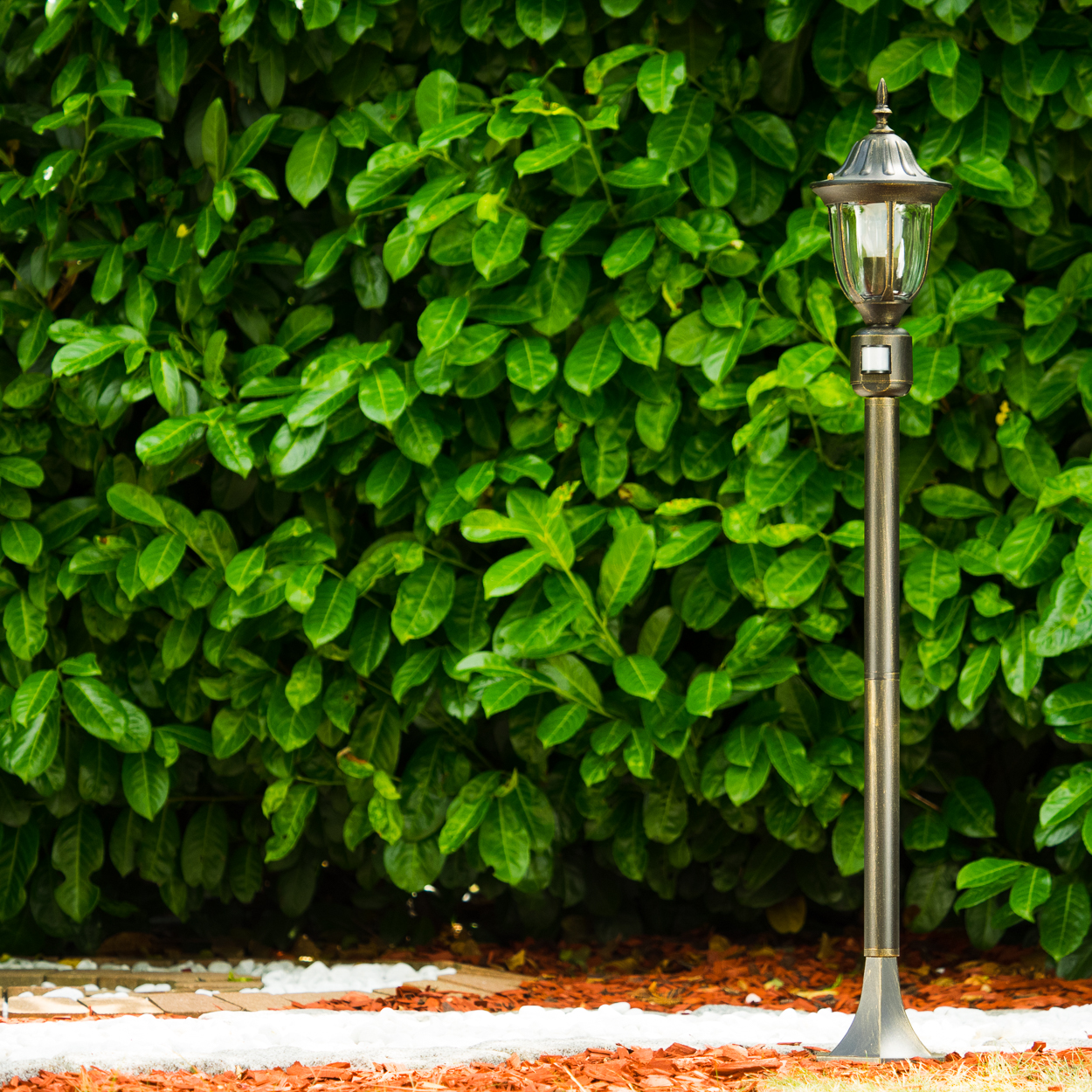 Eine bronzefarbene Laterne steht vor einer dichten grünen Hecke. Der Sockel ruht auf roter Mulche und weißen Steinen.