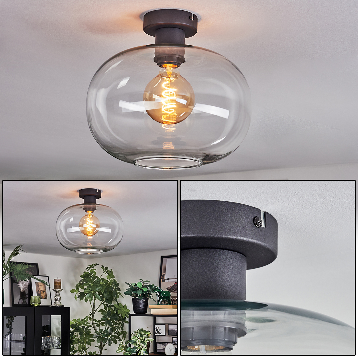 Eine moderne Deckenlampe mit Glasschirm und sichtbarer Edison-Glühbirne. Der Raum hat eine weiße Decke und dekorative Pflanzen.