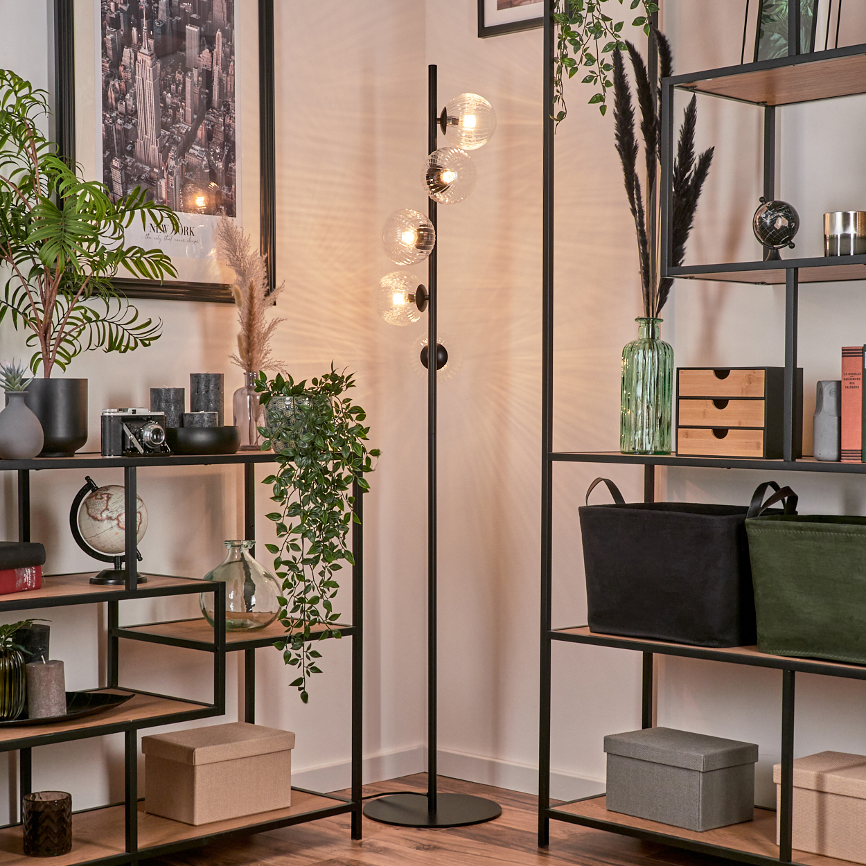 Ein Raum mit Stehlampe und Regalen voller Dekoration. Enthält Pflanzen, Bücher, Kisten und eine Kamera, die eine gemütliche Atmosphäre schaffen.