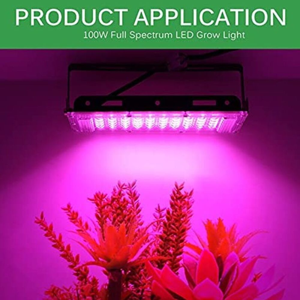 Eine Vollspektrum-LED-Wachstumslampe beleuchtet Pflanzen mit rosa Farbton. Das Licht ist über den Pflanzen aufgehängt. Der Hintergrund ist ein rosa Farbverlauf.