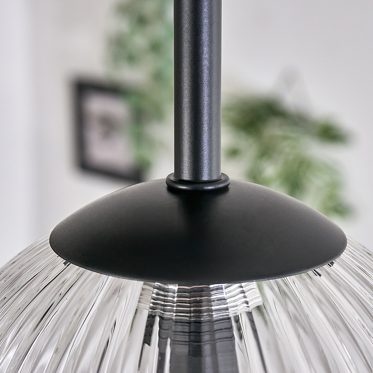 Nahaufnahme einer schwarzen Pendelleuchte. Die Lampe hat einen gerippten Glasschirm und eine schwarze Metallhalterung. Grünes Laub im Hintergrund.