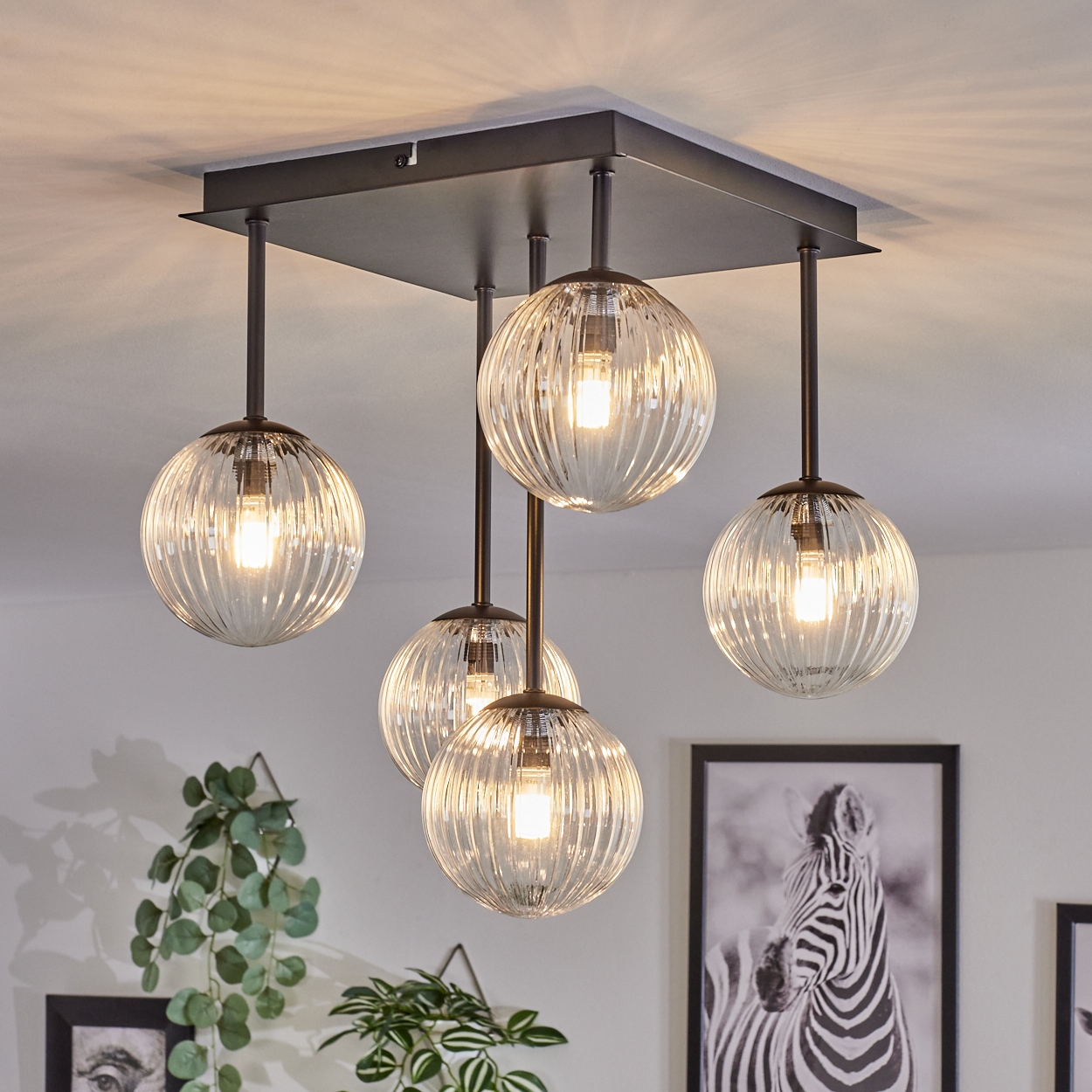 Eine moderne Deckenleuchte mit fünf Glaskugelschirmen, die von einer dunklen quadratischen Basis hängen. Ein Zebra-Bild und Pflanzen sind im Hintergrund.