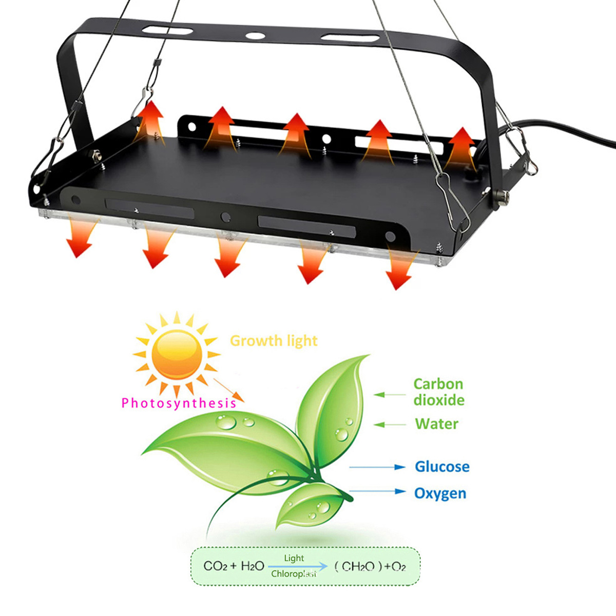 Diagramm der Photosynthese mit einer Wachstumslampe, Sonne, Blättern und chemischer Gleichung. Pfeile zeigen Lichteinfall, Wasser und CO2.