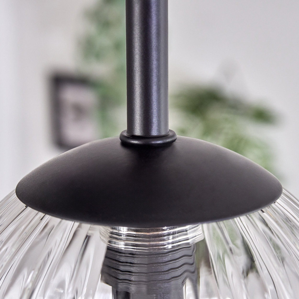 Nahaufnahme einer schwarzen Pendelleuchte. Darunter ein klarer Glasschirm. Der Hintergrund ist verschwommen mit Andeutungen von grünen Pflanzen und einem Rahmen.