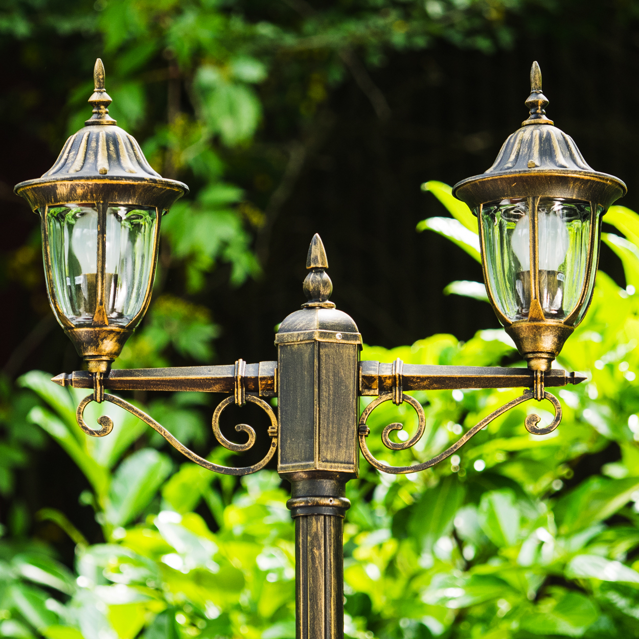 Eine dekorative bronzefarbene Laterne mit zwei Lampen, jede mit einem Glasgehäuse. Im Hintergrund befindet sich grünes Laub.