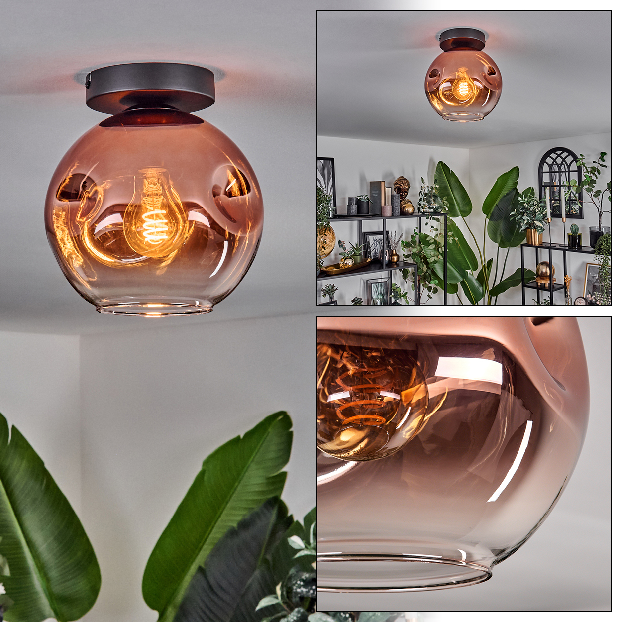 Kupferfarbene Glasdeckenlampe mit sichtbarer Glühbirne. Pflanzen und Regale mit Dekoration sind im Hintergrund sichtbar.