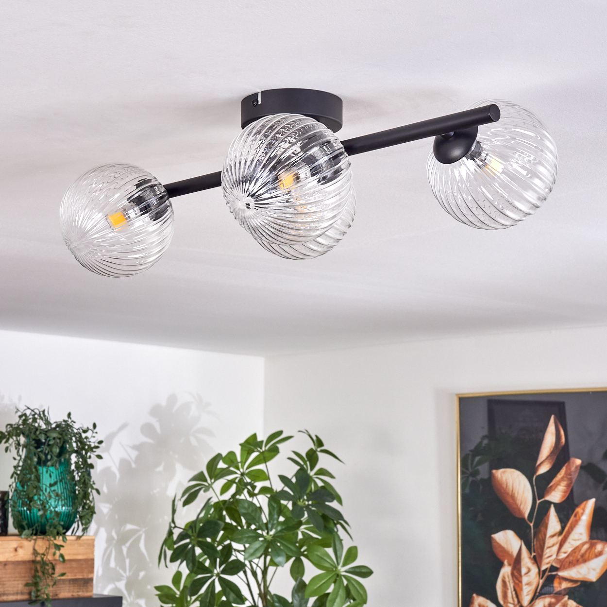 Eine moderne Deckenleuchte mit drei Glaskugelschirmen. Darunter sind Pflanzen und Kunstwerke zu sehen, im Hintergrund eine weiße Decke.