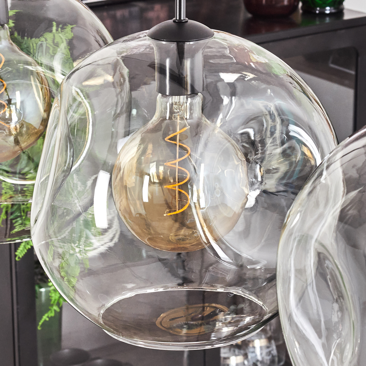 Nahaufnahme von Glas-Pendelleuchten mit Wendelfäden. Klare, blasenartige Glasschirme. Hintergrund: dunkle Möbel und Pflanzen.