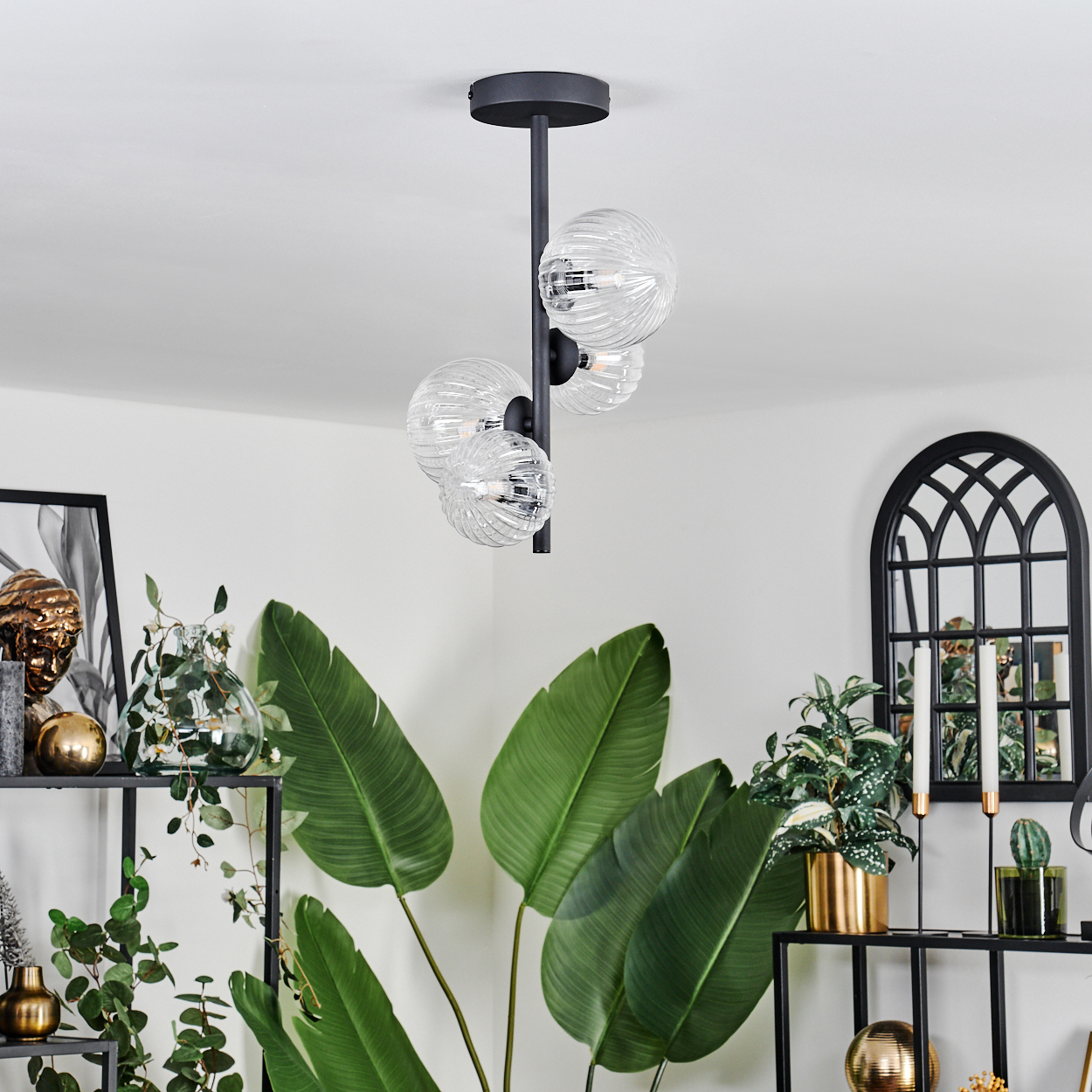 Ein modernes Zimmer mit einem schwarzen Kronleuchter und Pflanzen. Der Kronleuchter hat vier Glaskugeln. Pflanzen stehen in Töpfen auf Regalen.