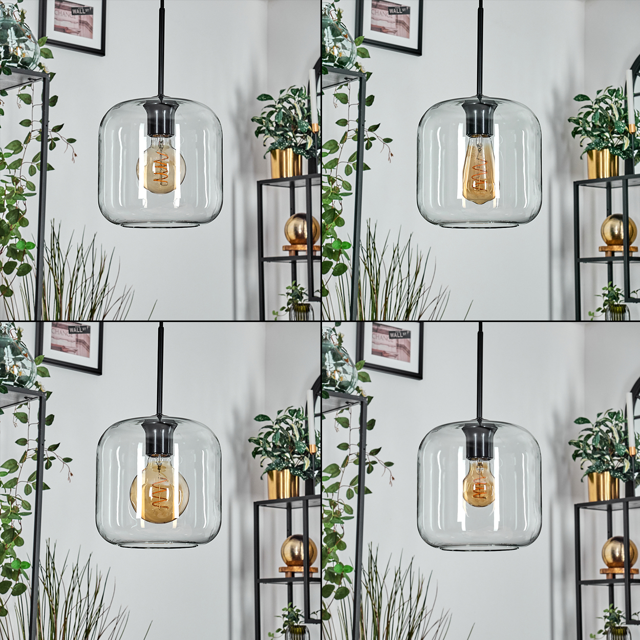 Eine moderne Pendelleuchte mit klarem Glasschirm und sichtbarer Edison-Glühbirne. Pflanzen und Regale im Hintergrund.