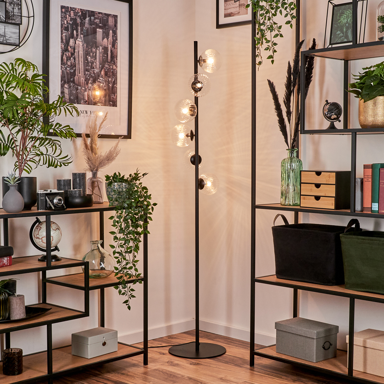 Eine Zimmerecke mit Regalen, Pflanzen und einer hohen Lampe. Die Lampe hat mehrere Kugellampen. Regale halten Bücher, Kisten und Dekorationen.