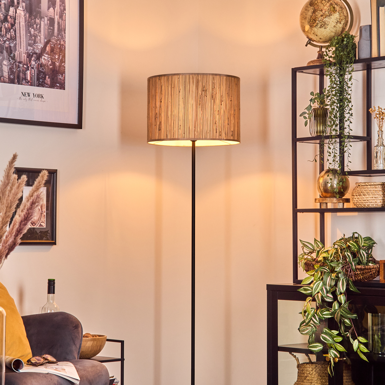 Ein Raum mit Lampe, Bild und Regal mit Pflanzen und Globus. Sofa und Schüssel im Vordergrund.