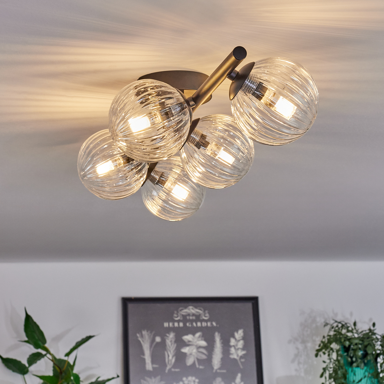 Eine moderne Deckenleuchte mit fünf Glaskugelschirmen ist an einer weißen Decke befestigt. Darunter hängt ein gerahmter Kräutergarten-Druck.