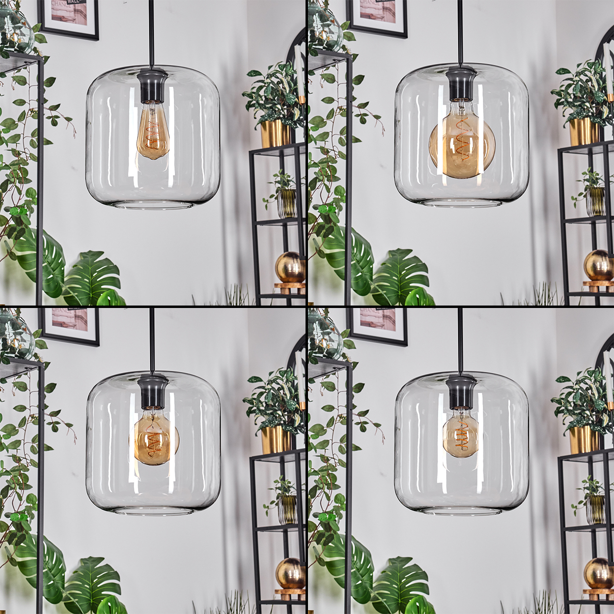 Eine klare Glas-Pendelleuchte mit einer brennenden Glühbirne hängt. Regale mit Pflanzen, eine goldene Kugel und gerahmte Kunstwerke im Hintergrund.