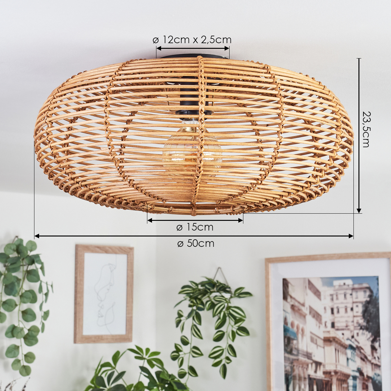 Eine gewebte Deckenlampe aus Rattan mit Größenangaben. Darunter sind gerahmte Bilder und hängende grüne Pflanzen zu sehen.