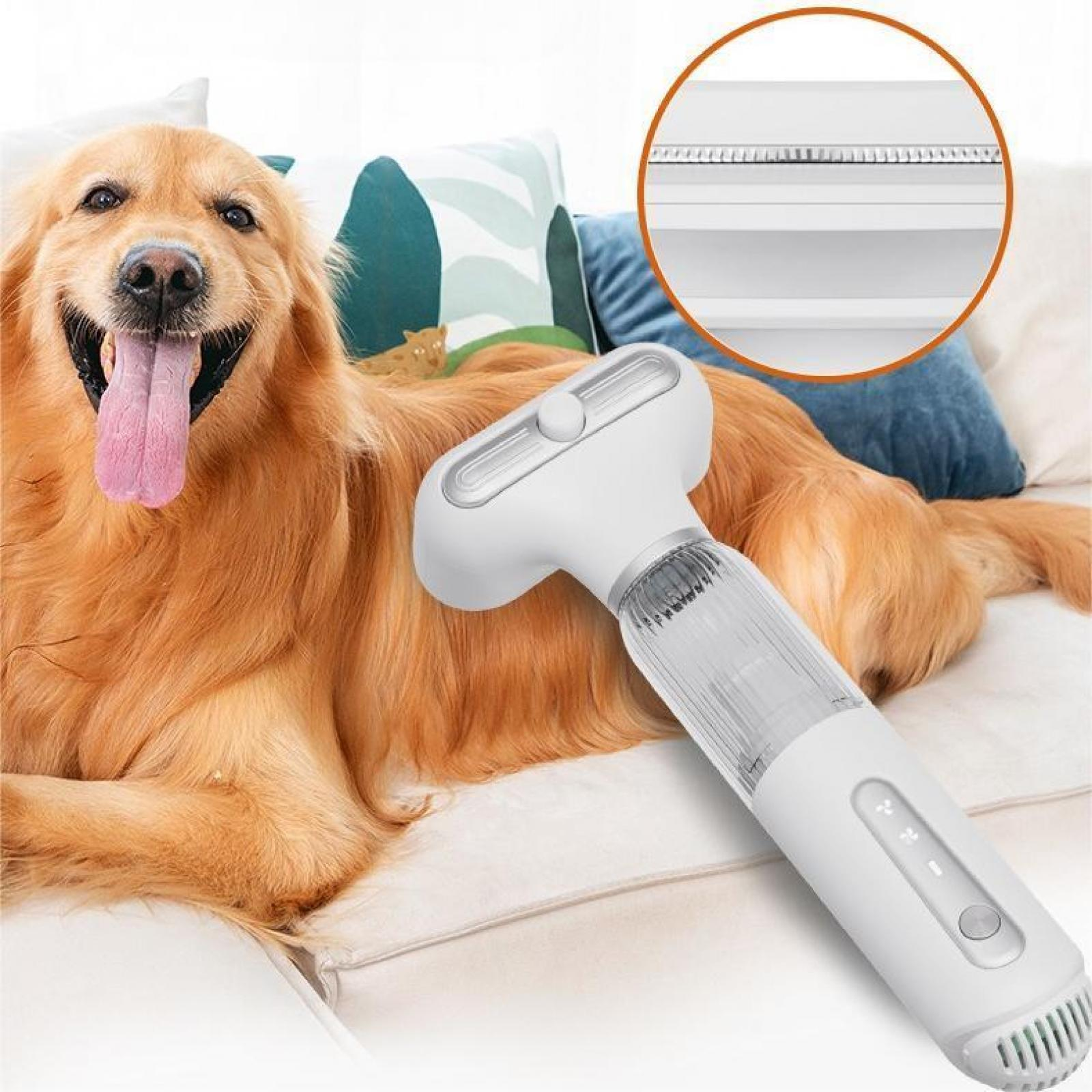 Golden Retriever mit herausgestreckter Zunge, wird mit einem weißen Tierhaarentferner gepflegt. Blaue und weiße Kissen im Hintergrund.