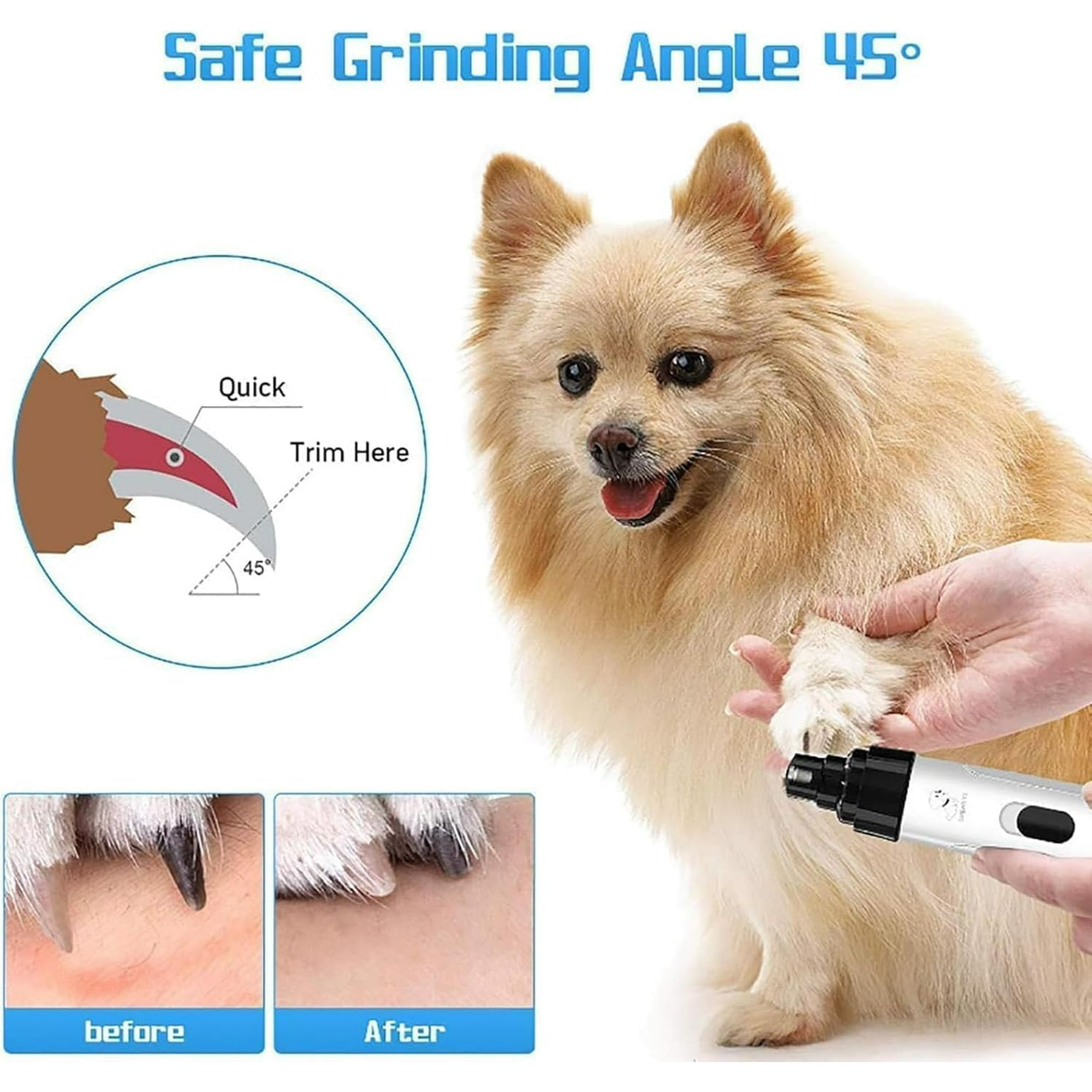Ein Hund wird mit einem Nagelknipser getrimmt. Diagramm zeigt sicheren Schleifwinkel. Vorher/Nachher-Vergleich des Nageltrimms.