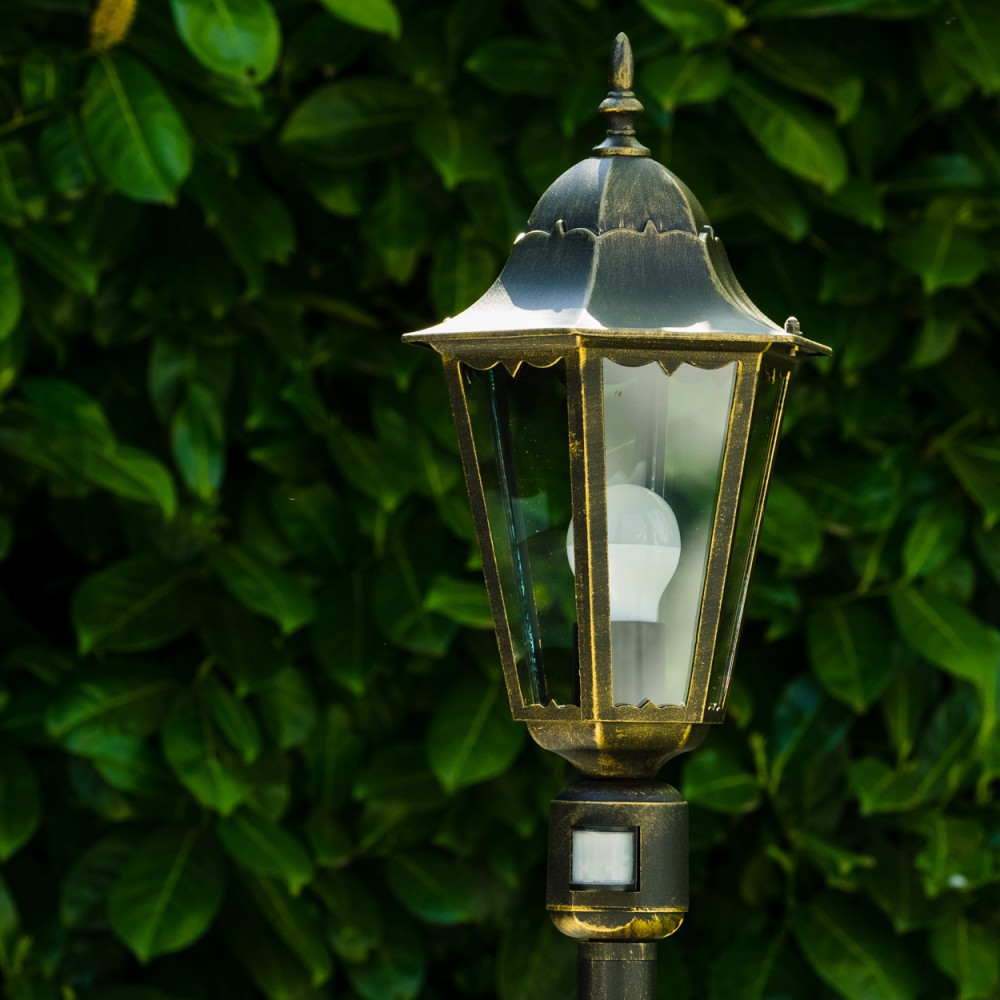 Eine dekorative Außenlampe mit Glasgehäuse. Sie ist gold und schwarz und hat eine weiße Glühbirne. Grünes Laub bildet den Hintergrund.