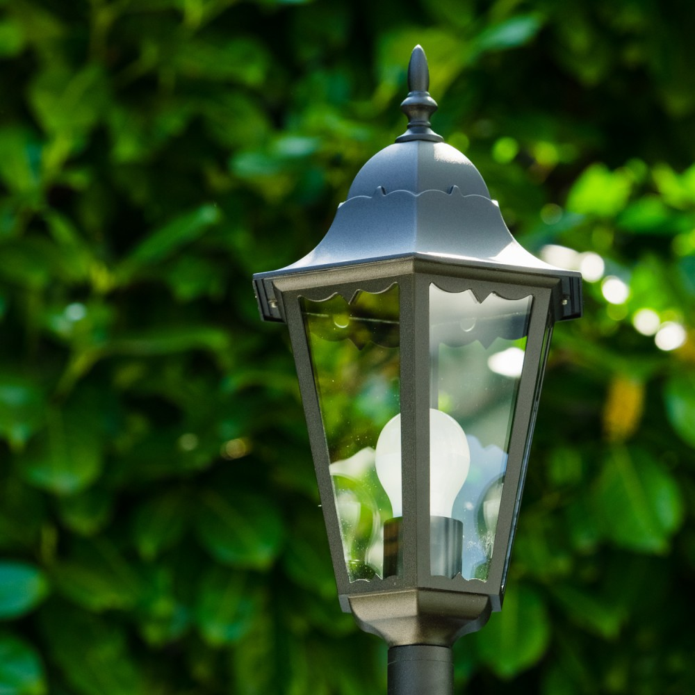 Eine schwarze Außenlampe mit Glasgehäuse und einer weißen Glühbirne. Grünes Laub bildet den verschwommenen Hintergrund.
