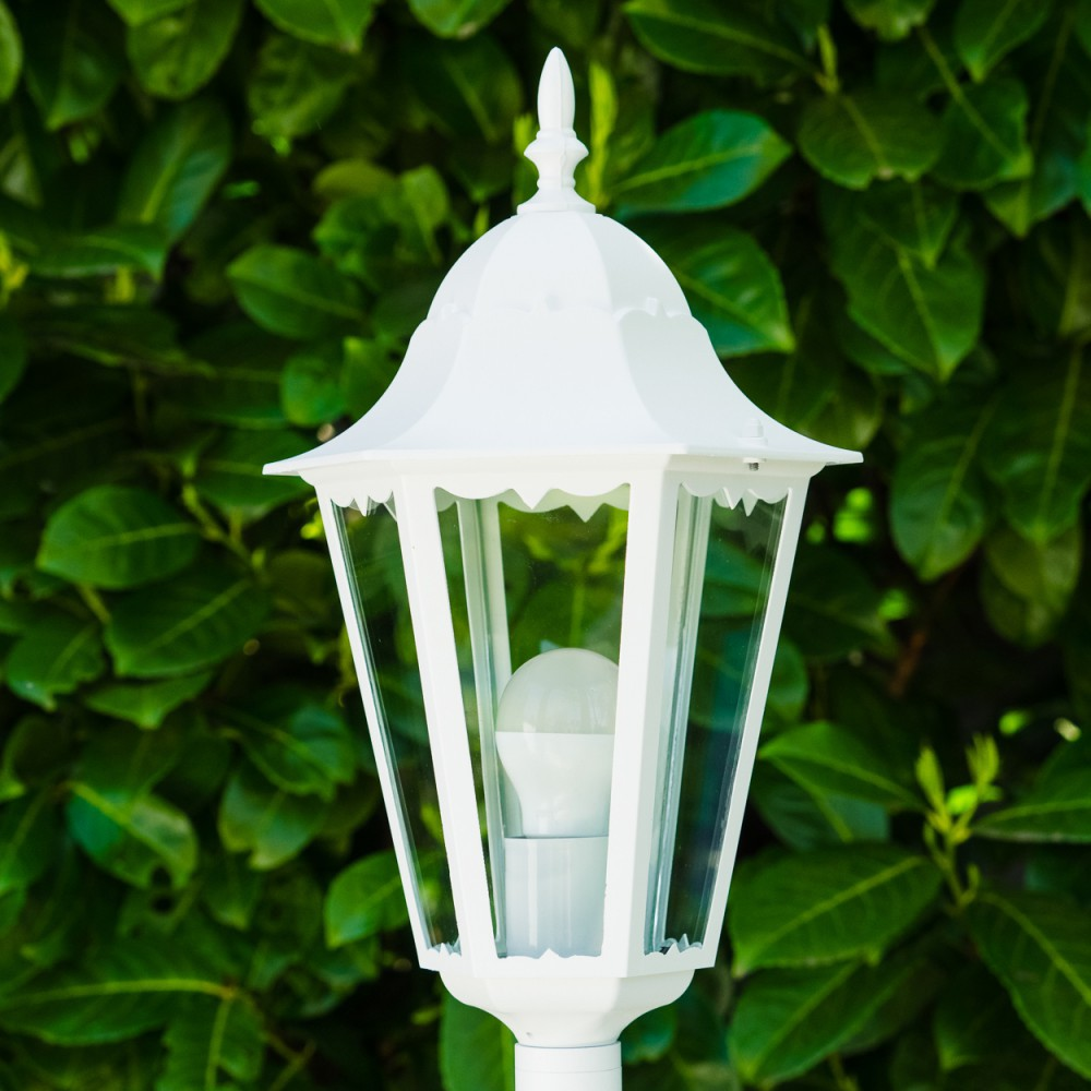 Eine weiße Außenlampe mit Glasgehäuse. Sie hat eine Glühbirne im Inneren. Der Hintergrund besteht aus grünen Blättern.